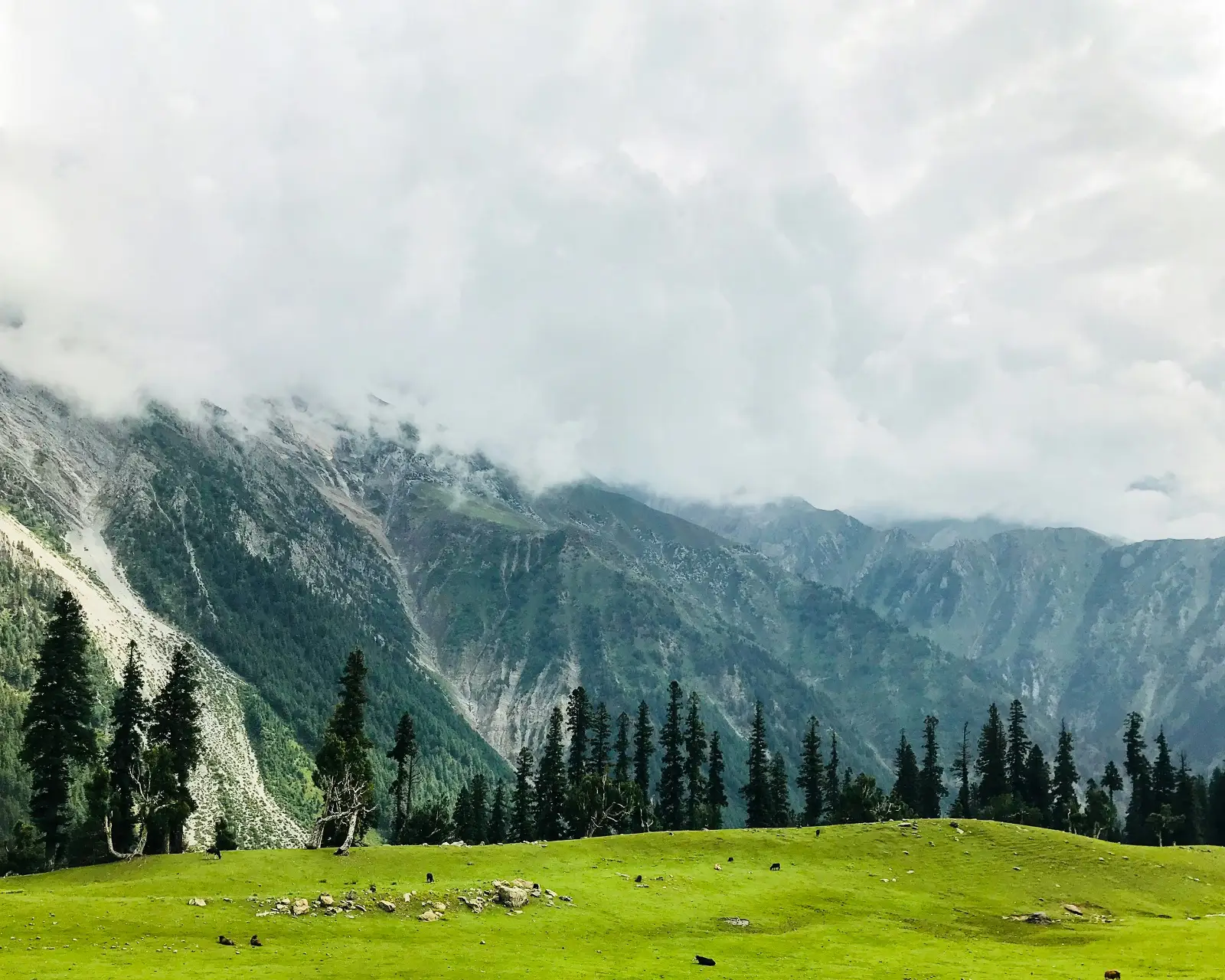 mountain