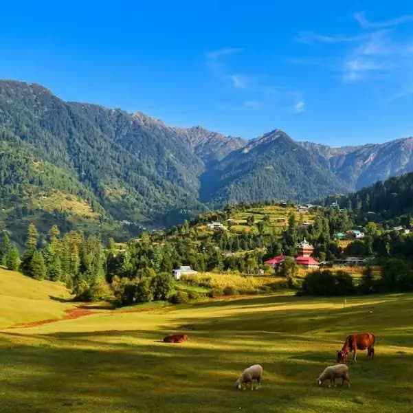 mountain